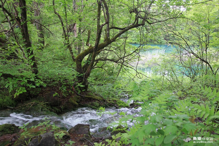 【日本旅遊】福島 五色沼/夢幻日本九寨溝 【日本旅遊】福島 五色沼/夢幻日本九寨溝