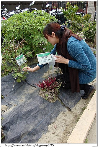 【台南】養生沐浴球&amp;藥布拓印DIY @魚樂分享誌