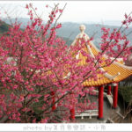 即時熱門文章：【台北北投】吳氏宗祠賞櫻