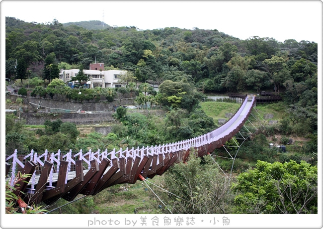 【台北內湖】白石湖吊橋‧浪漫同心池‧夫妻樹 @魚樂分享誌