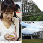 即時熱門文章：【台東】看見農遊新樂園~龍田烏龍茶遠足，綠色隧道單車遊