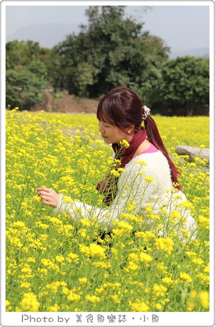 【台東】看見農遊新樂園~夢幻油菜花田拔蘿蔔，採草莓 @魚樂分享誌