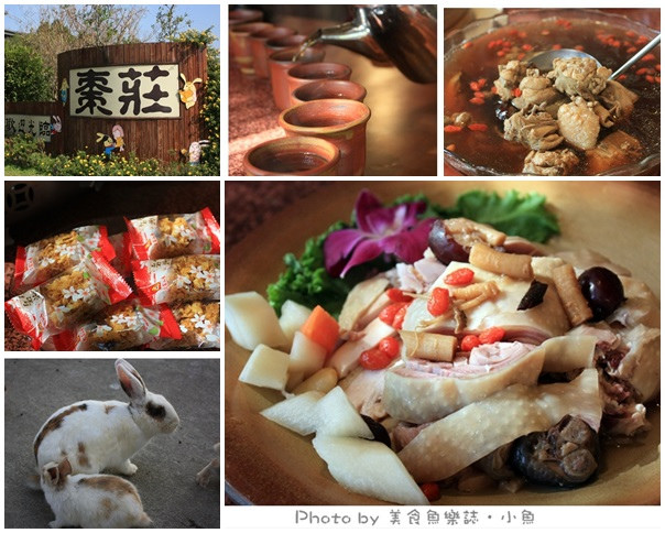 【苗栗公館】棗莊~紅棗養生餐與超好玩可愛動物區 @魚樂分享誌
