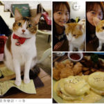 即時熱門文章：【台北東區】Toast Chat貓咪咖啡店/早午餐/咖啡/下午茶