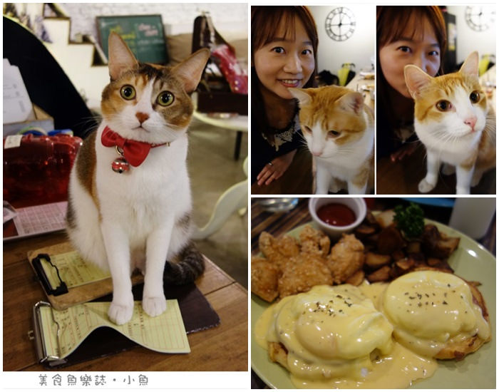 【台北東區】Toast Chat貓咪咖啡店/早午餐/咖啡/下午茶 @魚樂分享誌