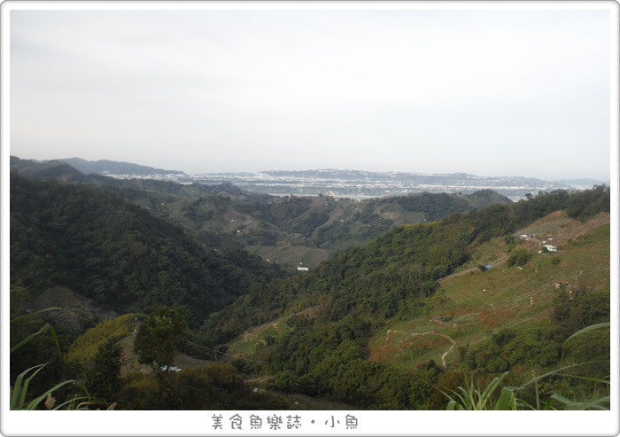 【路跑活動】2016大雪山林道馬拉松 @魚樂分享誌