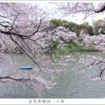 即時熱門文章：【日本東京】2015賞櫻之旅Day2 (下) 外濠公園/靖國神社/千鳥之淵/北之丸公園