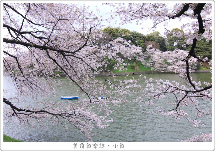 【日本東京】2015賞櫻之旅Day2 (下) 外濠公園/靖國神社/千鳥之淵/北之丸公園 @魚樂分享誌