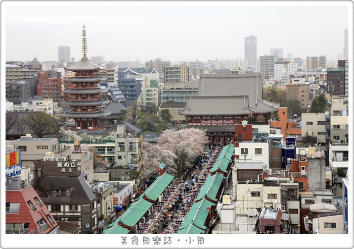 【日本東京】雷門淺草賞櫻/仲見世通 @魚樂分享誌