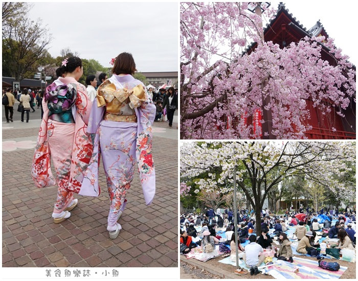 【日本東京】上野恩賜公園賞櫻 @魚樂分享誌