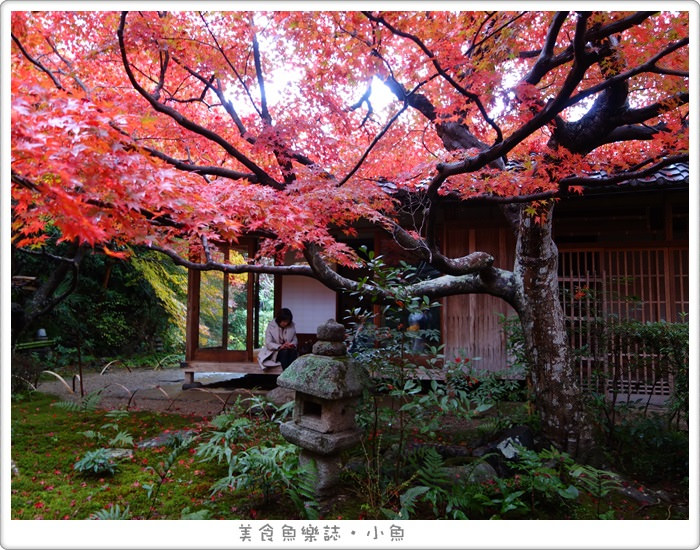 【日本旅遊】京都 厭離庵/嵐山賞楓名所/秋季限定 @魚樂分享誌