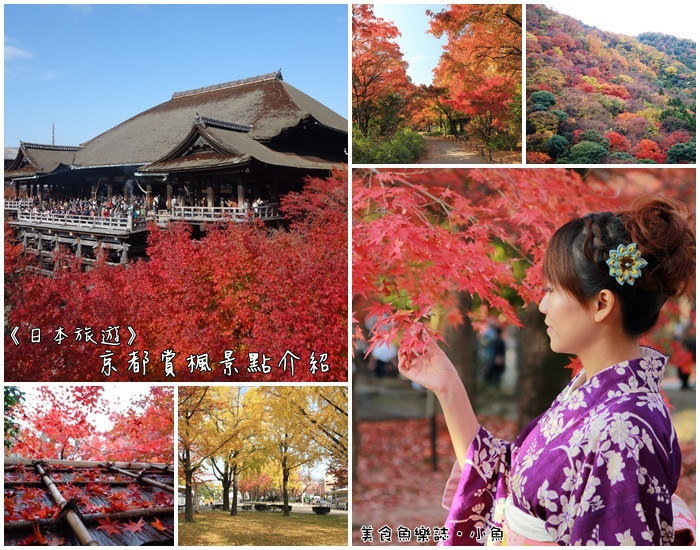 【日本旅遊】6天5夜京都賞楓行程/熱門賞楓景點介紹 @魚樂分享誌