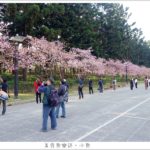 即時熱門文章：【台北景點】中正紀念堂賞櫻/大漁櫻步道