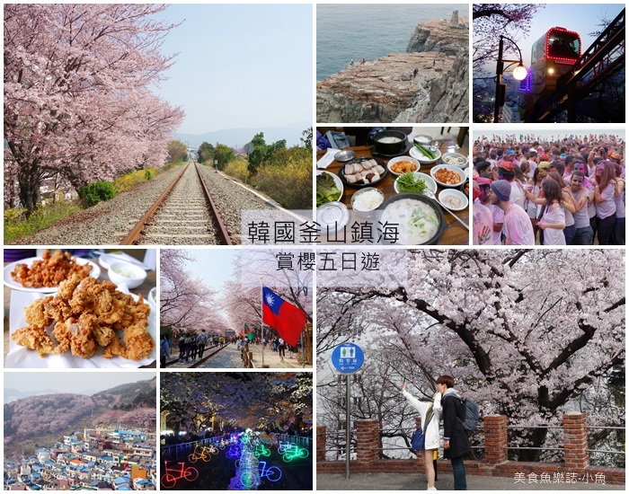 【韓國旅遊】2016釜山賞櫻五日遊行程規劃 @魚樂分享誌