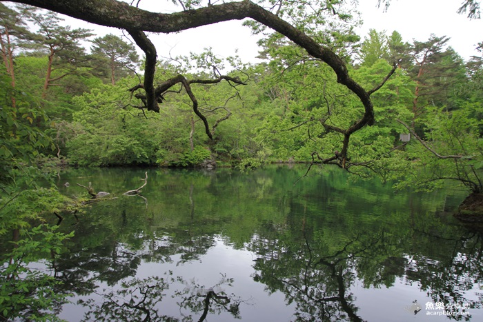 【日本旅遊】福島 五色沼/夢幻日本九寨溝