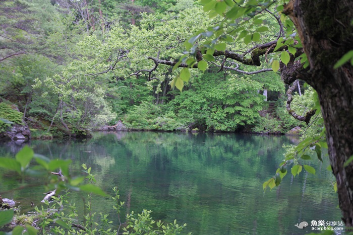 【日本旅遊】福島 五色沼/夢幻日本九寨溝
