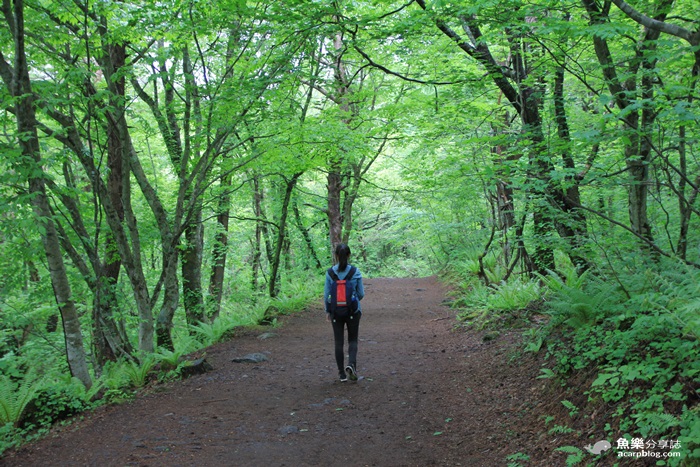 【日本旅遊】福島 五色沼/夢幻日本九寨溝