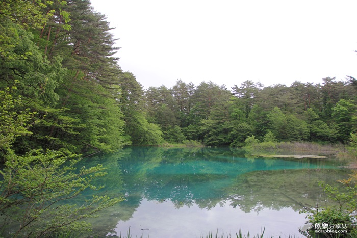 【日本旅遊】福島 五色沼/夢幻日本九寨溝