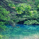即時熱門文章：【日本旅遊】福島 五色沼/夢幻日本九寨溝