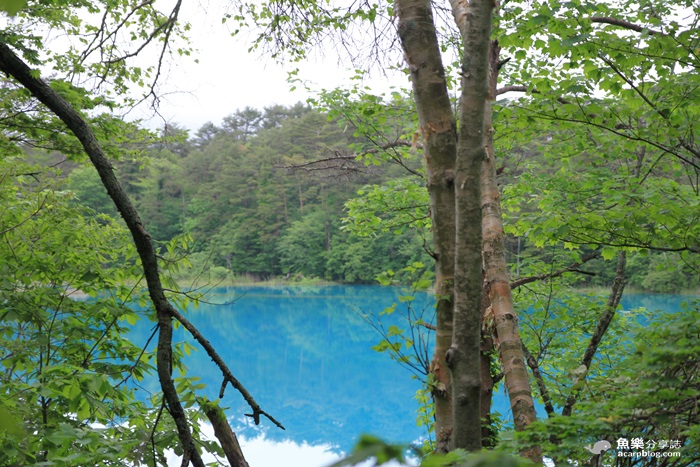 【日本旅遊】福島 五色沼/夢幻日本九寨溝