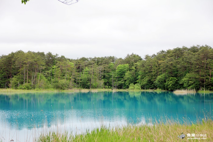 【日本旅遊】福島 五色沼/夢幻日本九寨溝