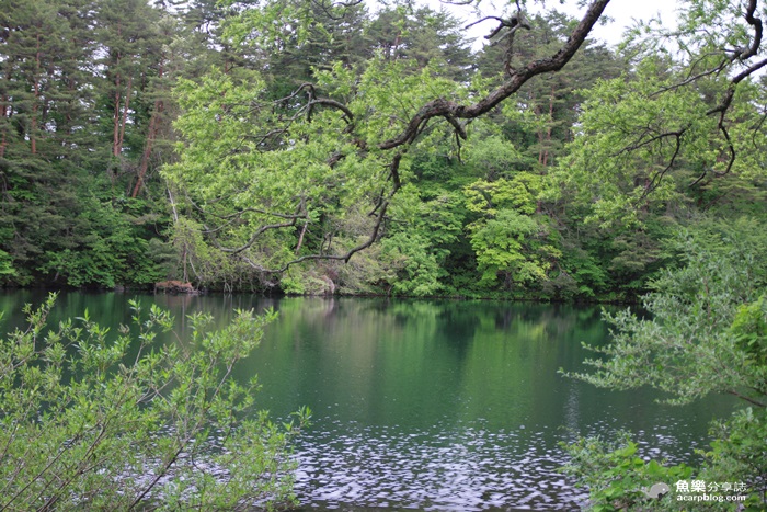 【日本旅遊】福島 五色沼/夢幻日本九寨溝