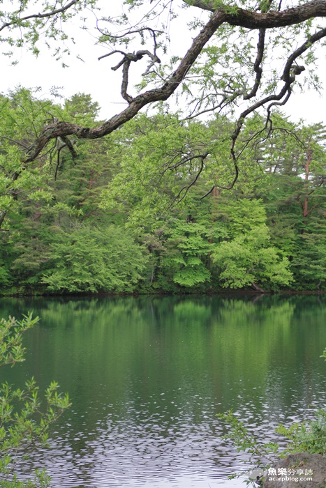 【日本旅遊】福島 五色沼/夢幻日本九寨溝