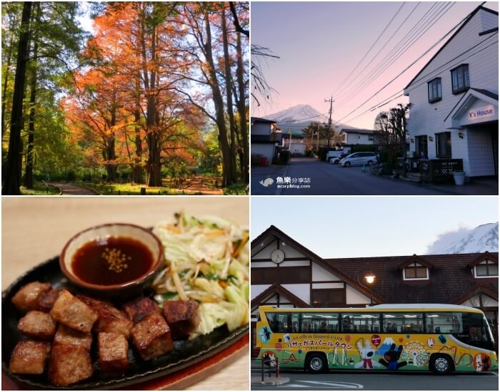 【日本旅遊】2017富士山馬拉松&東京賞楓Day3 @魚樂分享誌