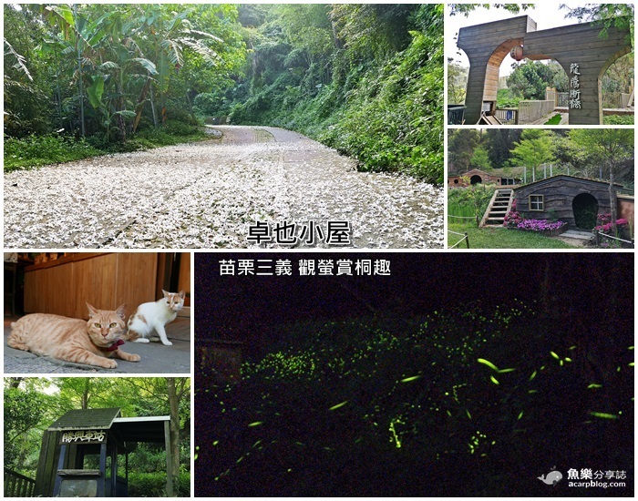 卓也小屋2019