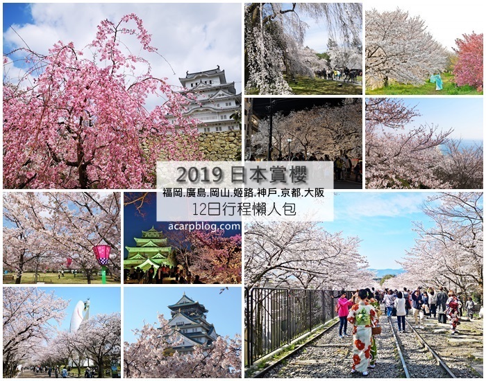 2019日本賞櫻