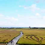 即時熱門文章：【宜蘭景點】三奇稻間美徑│宜蘭伯朗大道│熱氣球嘉年華