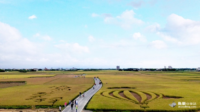 宜蘭伯朗大道