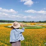 即時熱門文章：2019桃園花彩節 大溪場(月眉社區 李騰芳古厝) 交通路線 拍照攻略