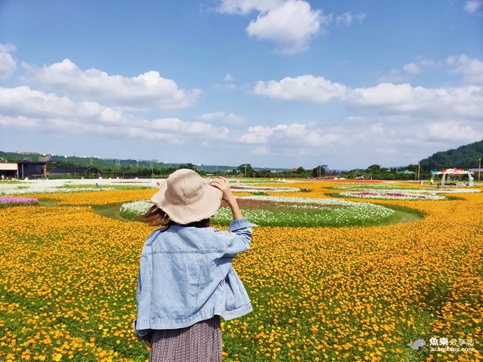 2019桃園花彩節