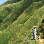 即時熱門文章：【宜蘭礁溪】抹茶山朝聖｜聖母山莊登山步道
