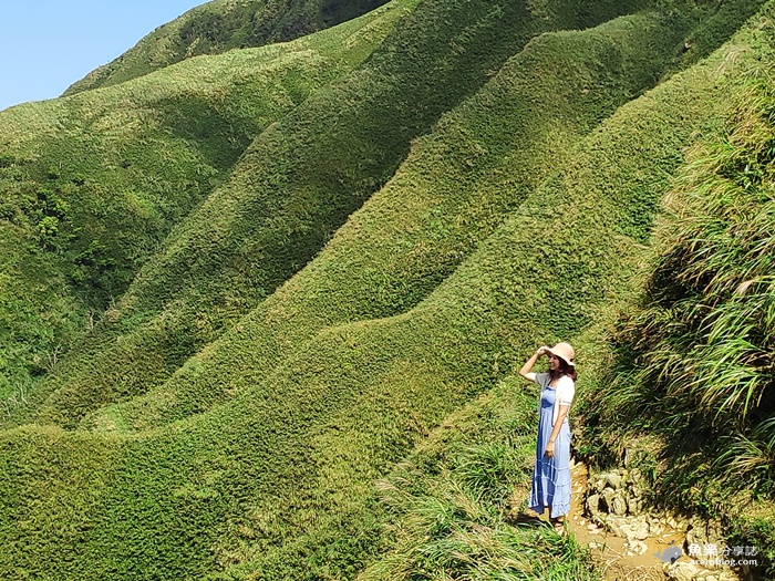 抹茶山